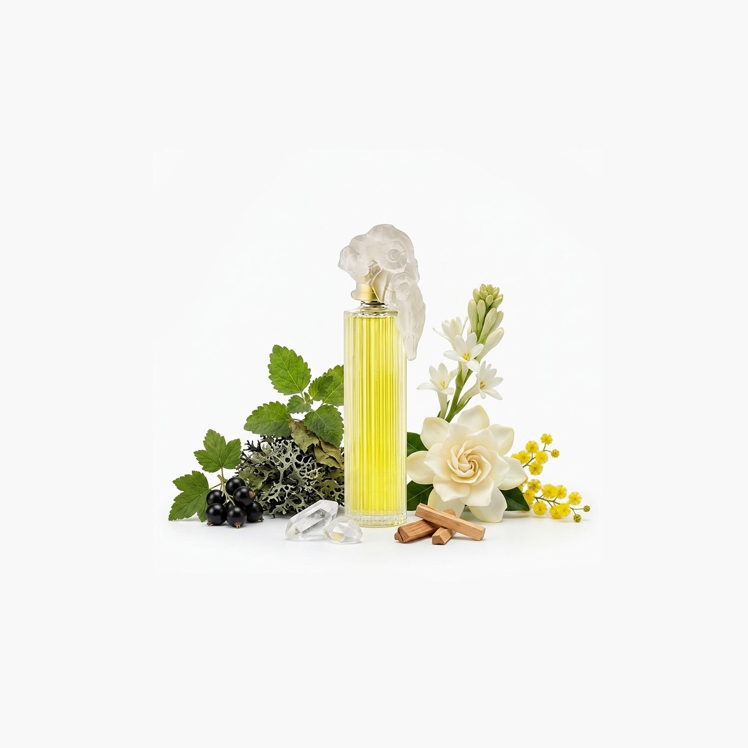 J.Casanova Plaisir Eau de Parfum for Women - 50 ml-beautyandpersonalcare-fragrance-women-image-3