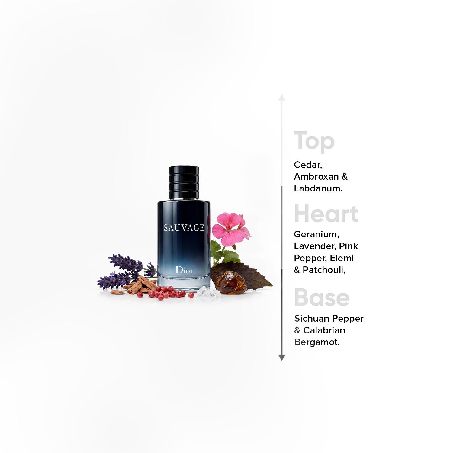 Dior Sauvage Eau de Toilette for Men - 60 ml-beautyandpersonalcare-fragrance-men-image-4