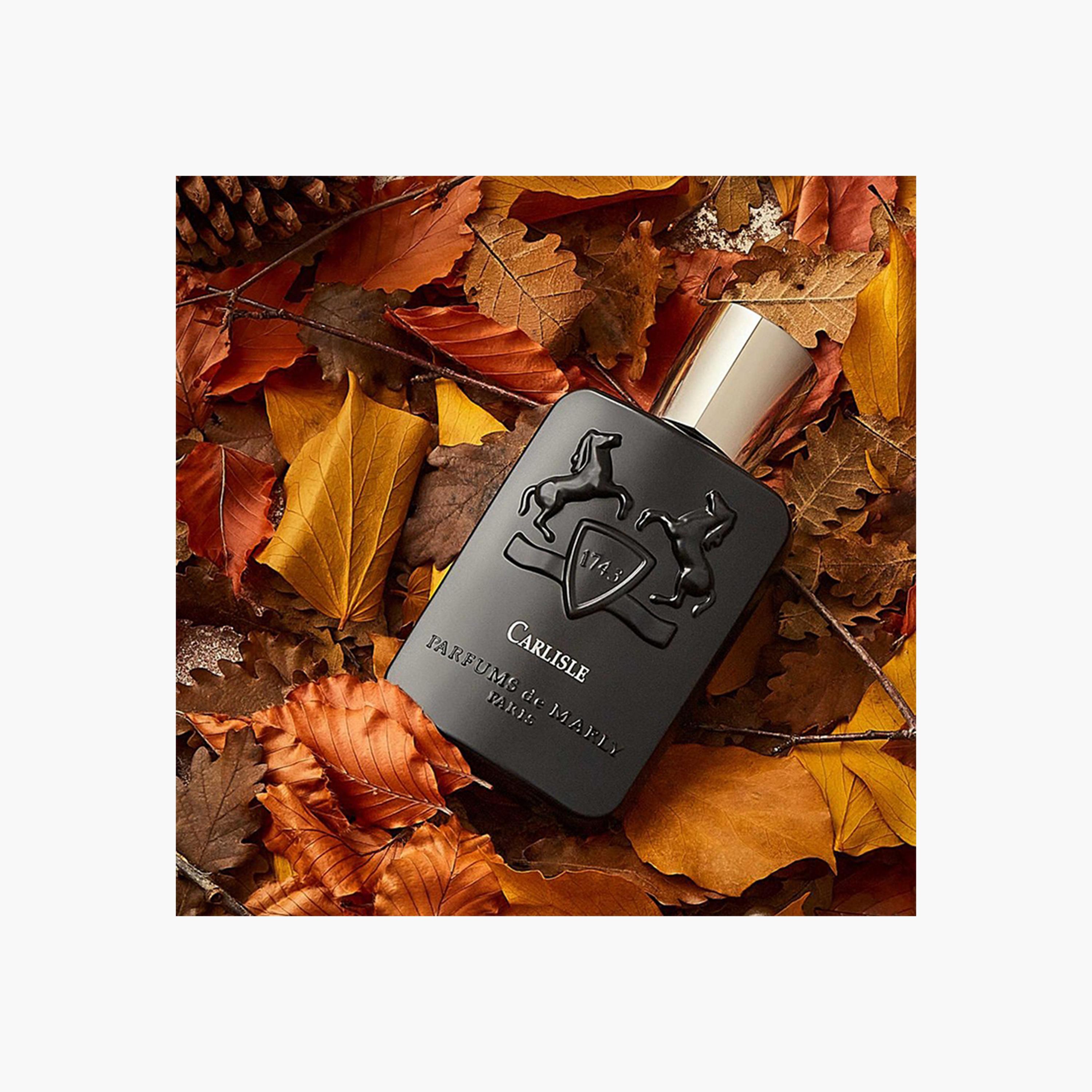 Parfums de Marly Carlisle Eau de Parfum - 125 ml-beautyandpersonalcare-fragrance-unisex-image-3