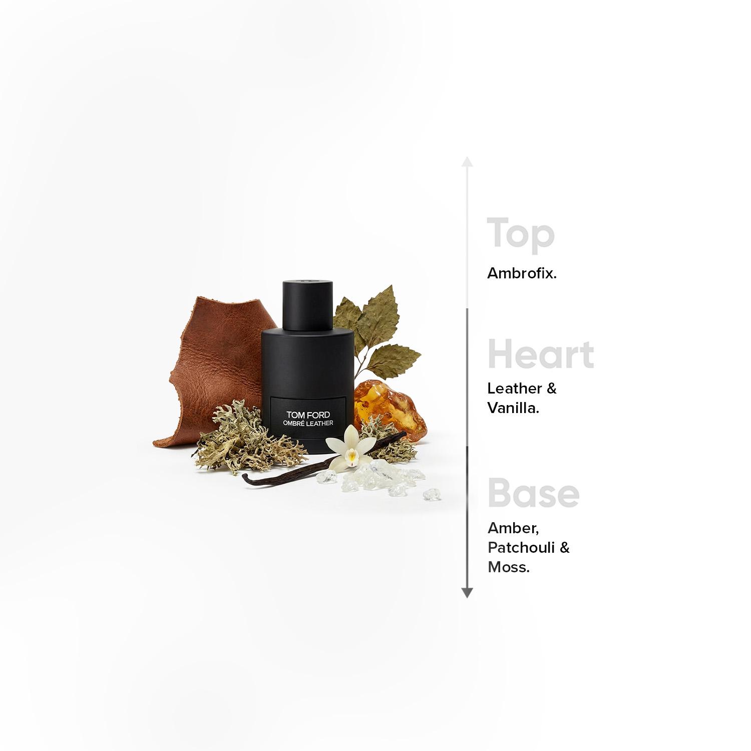 Tomford D'ombré Leather Eau de Toilette for Men - 100 ml-beautyandpersonalcare-fragrance-men-image-4