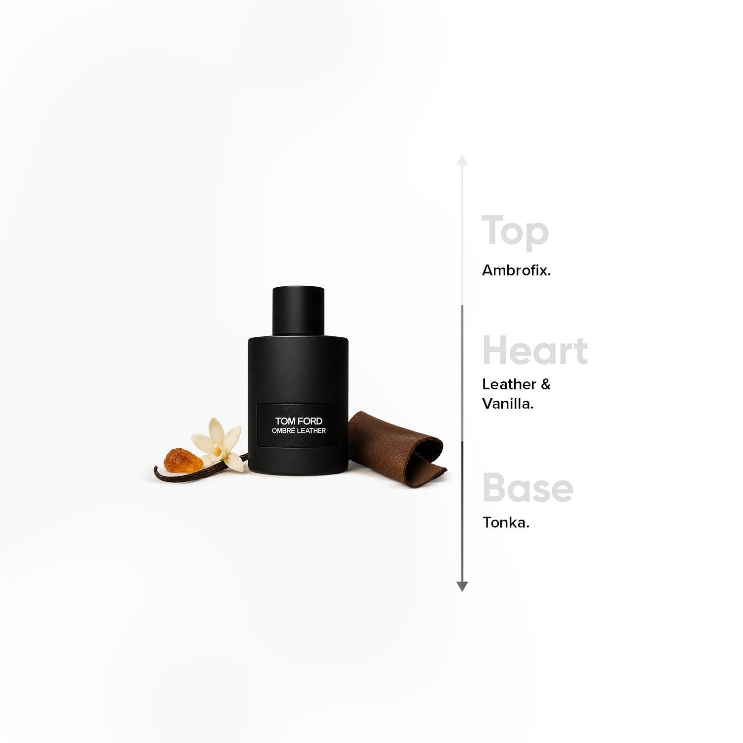 Tom Ford Eau Dombré Leather Eau de Toilette for Men - 50 ml-beautyandpersonalcare-fragrance-men-image-4
