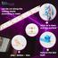شريط إضاءة ذكي أر جي بي إل إي دي بقدرة 24 واط مع واي فاي وبلوتوث - رافيد-household-lighting-smartlighting-smartaccessories-image-2