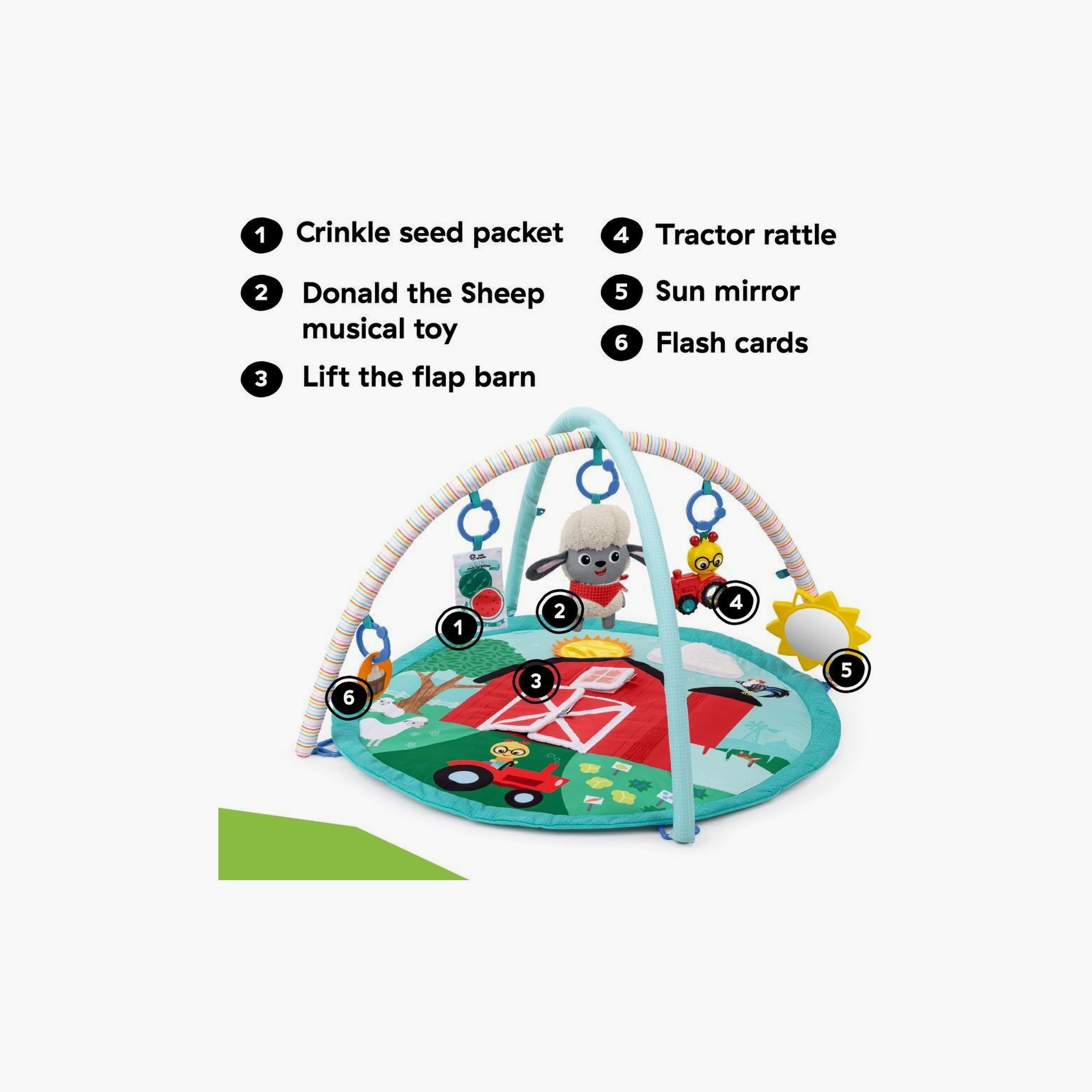 Baby Einstein Happy Harvest Touch & Feel Activity Gym-baby-infantactivity-playgyms-image-2