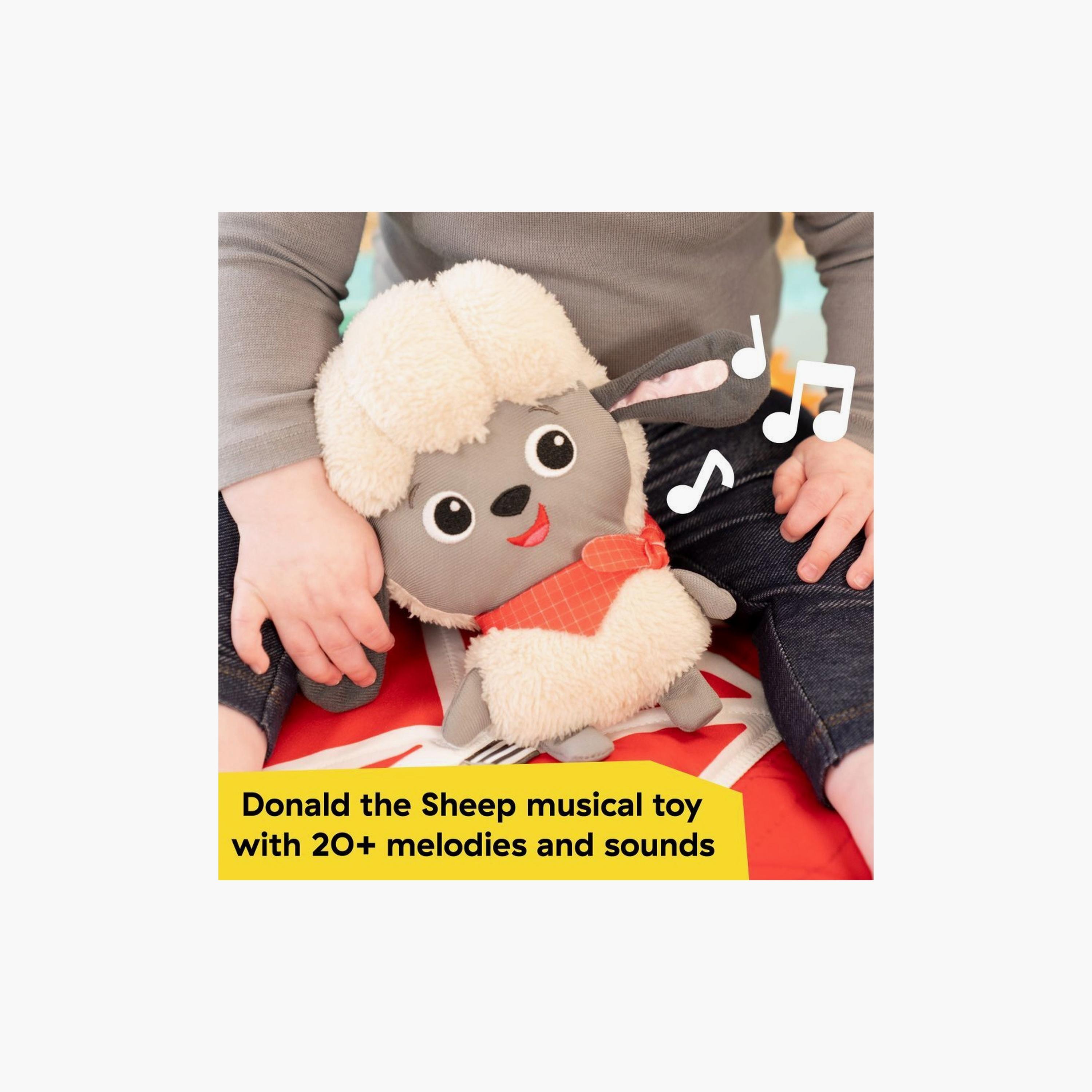 Baby Einstein Happy Harvest Touch & Feel Activity Gym-baby-infantactivity-playgyms-image-4