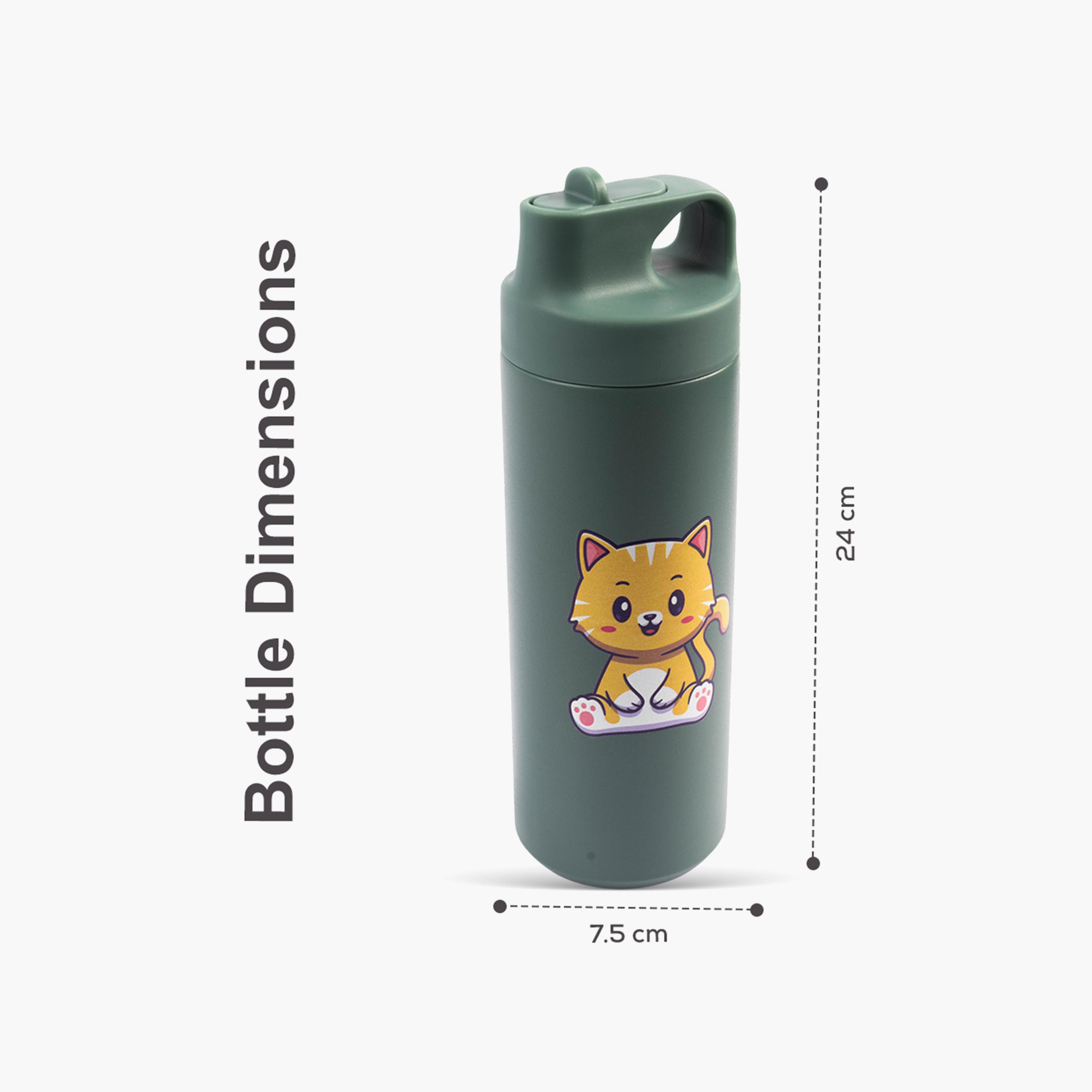 قارورة مفرغة من الهواء من الستانلس مقاومة للتسرب بطبعة قطة صغيرة من كوكوبي - 550 مل-school-waterbottles-image-8