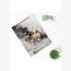 صينية ضيافة أكريليك ديكورية - لوحة-InfluencerCodes_Ramadan26_All_20012026-image-4