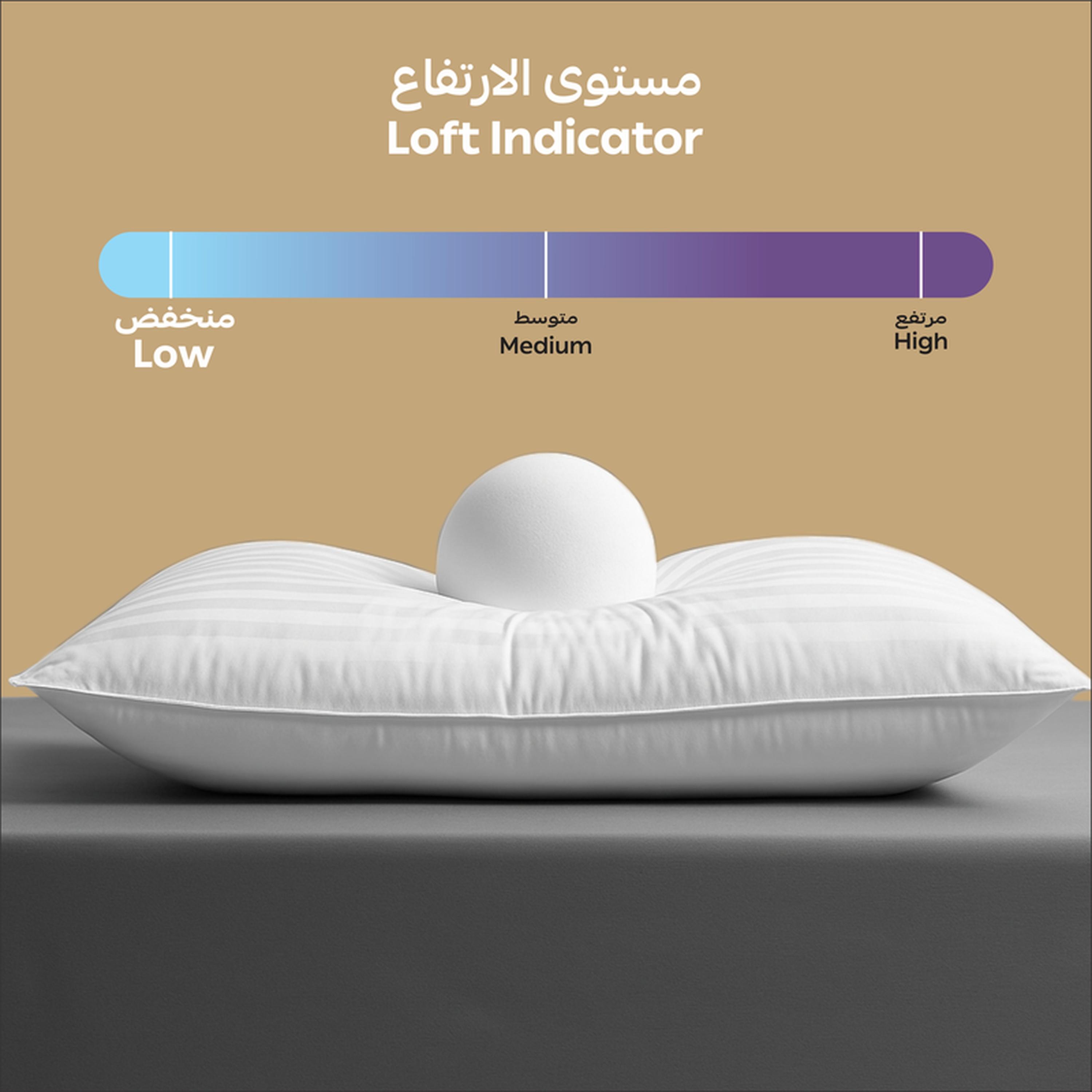 Luxury 2-Piece Down Alternative Filling Microfibre Top Hotel Pillow Set - 75x50 cms-household-bedding-pillows-image-5