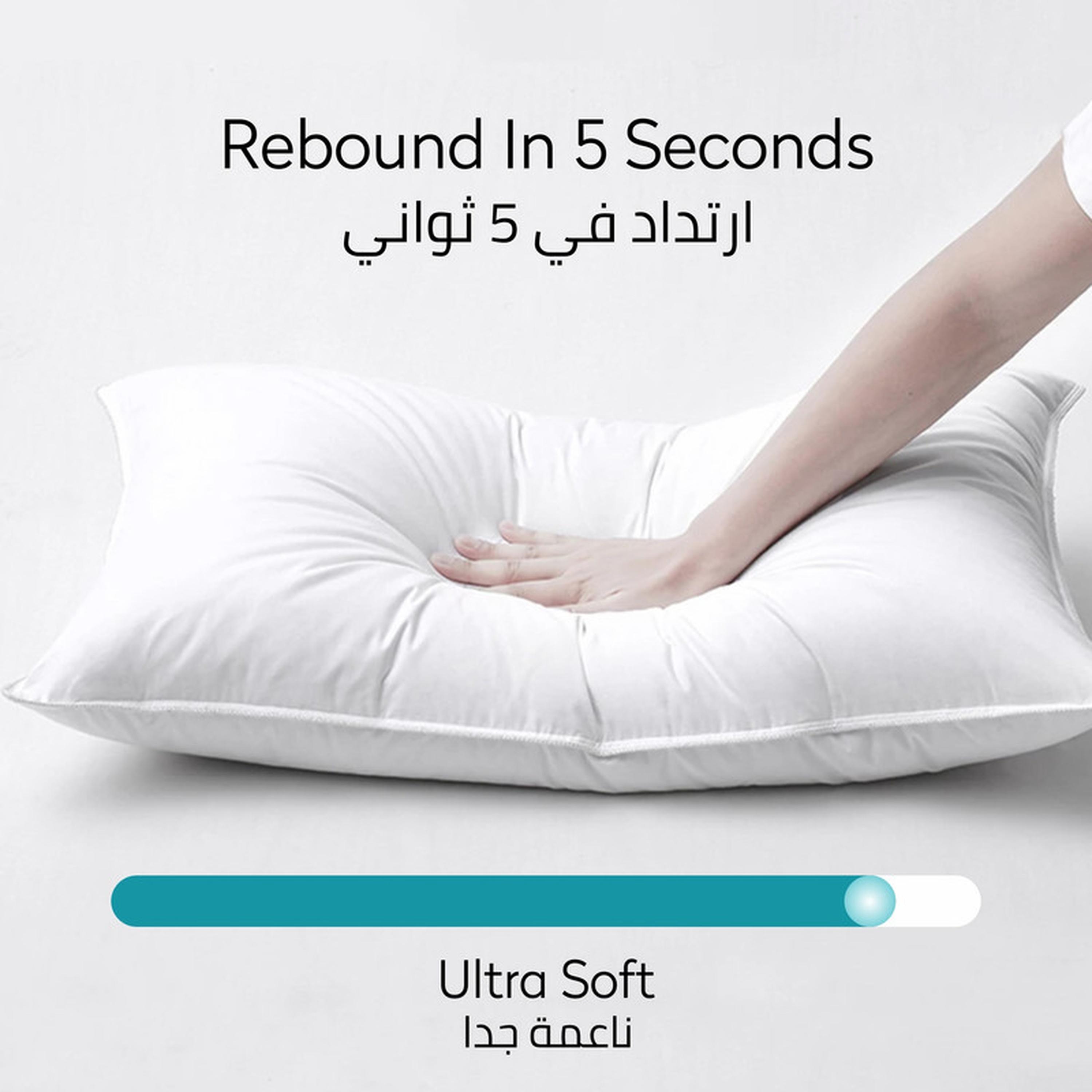 Hotel 2-Piece Down Alternative Cotton Top Pillow Set - 50x75 cms-household-bedding-pillows-image-4