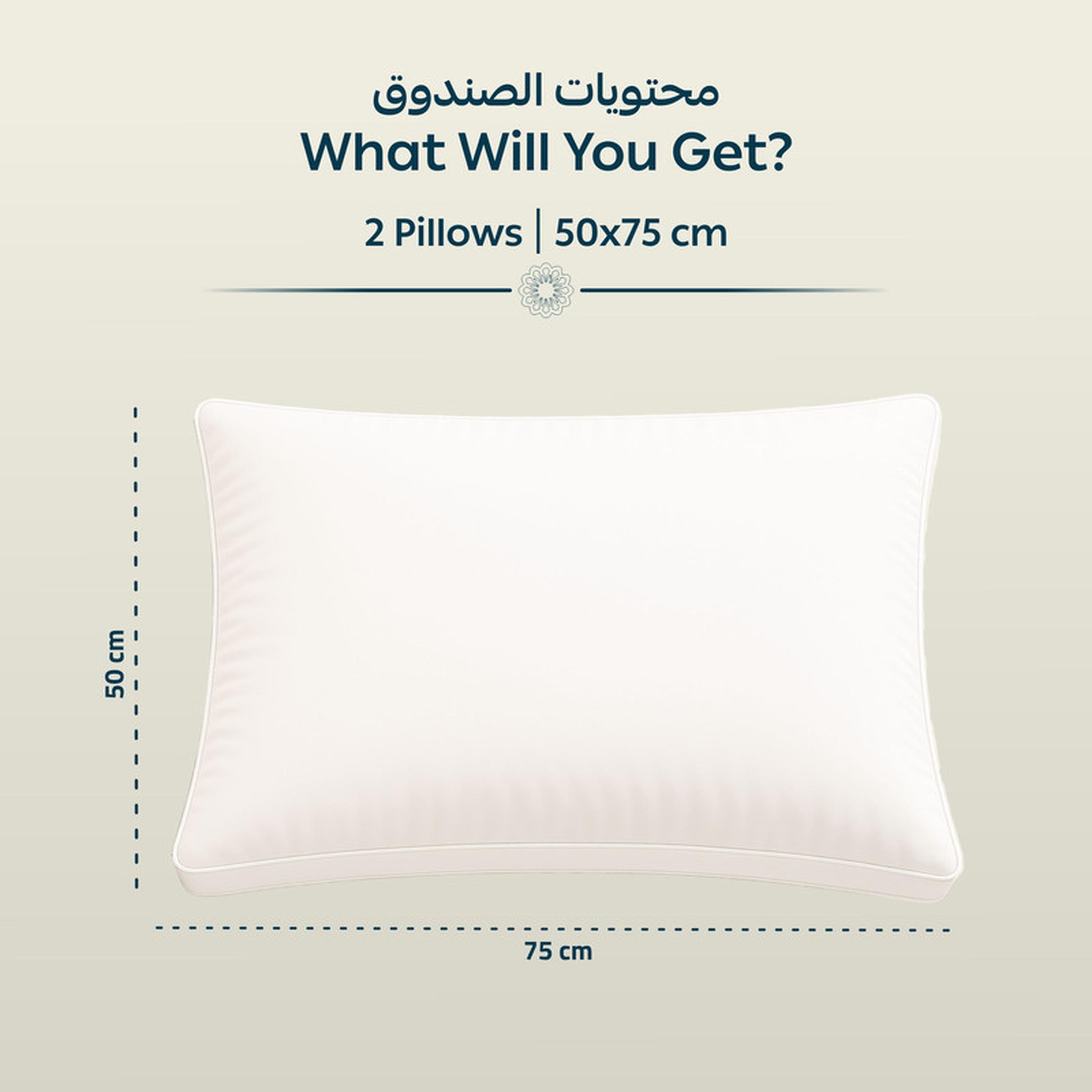 Luxury 2-Piece Down Alternative Filling Pillow Set - 50x75 cms-household-bedding-pillows-image-2
