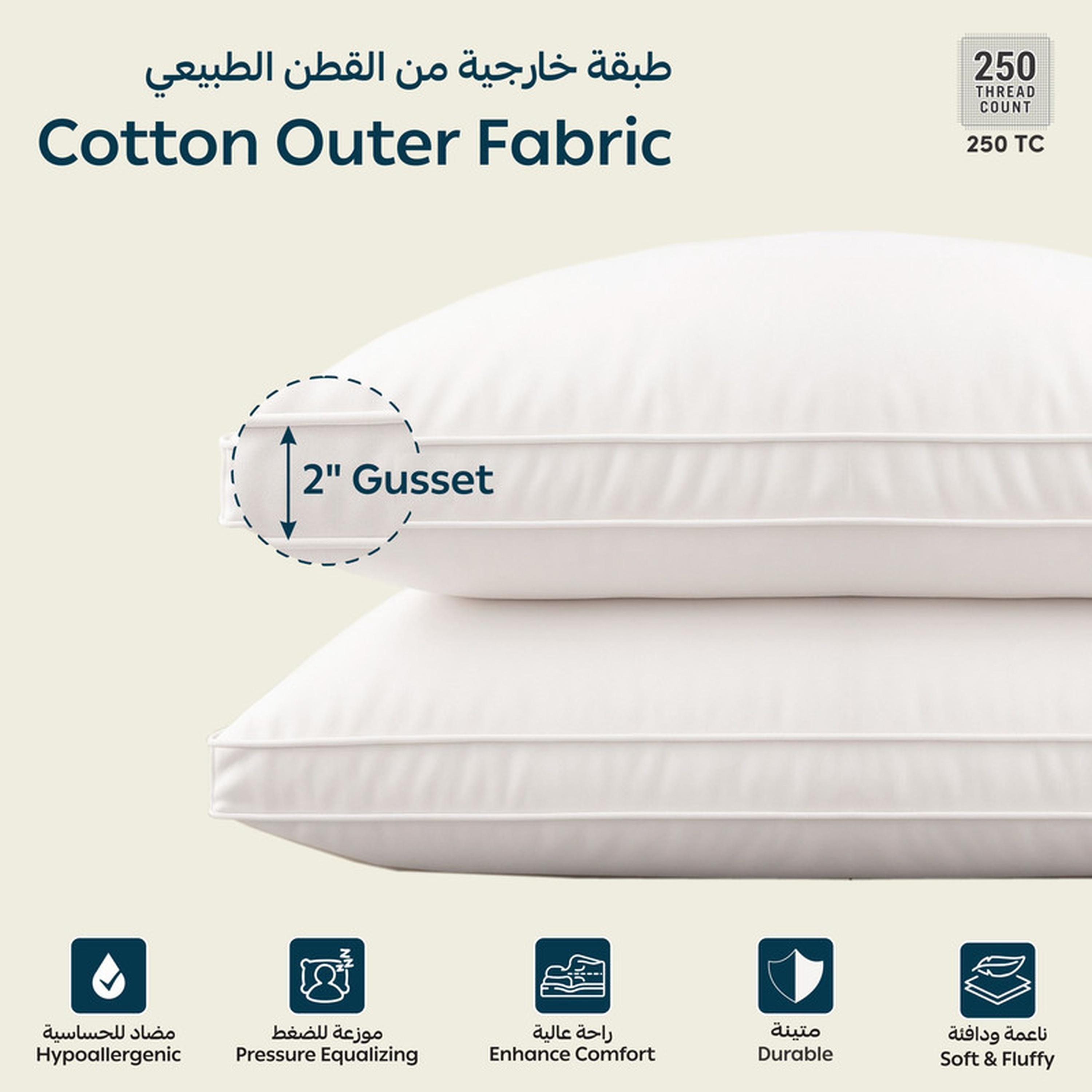 Luxury 2-Piece Down Alternative Filling Pillow Set - 50x75 cms-household-bedding-pillows-image-3
