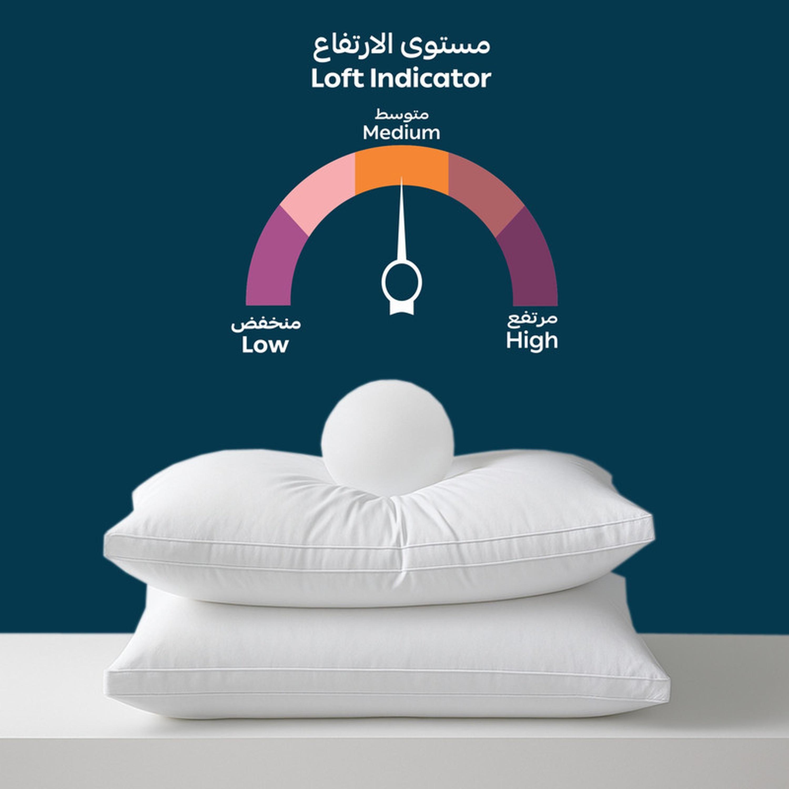Luxury 2-Piece Down Alternative Filling Pillow Set - 50x75 cms-household-bedding-pillows-image-5