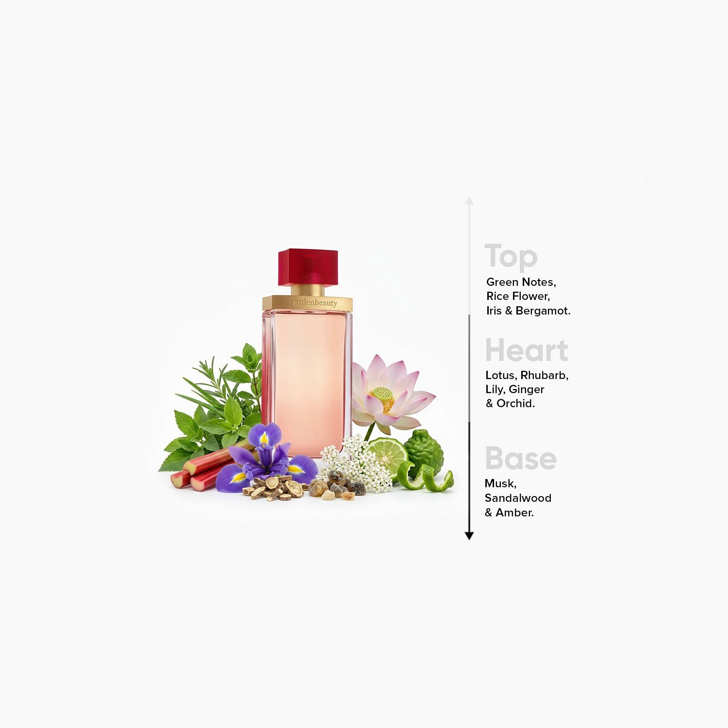 عطر أو دو بارفان بيوتي للنساء من إليزابيث آردن- 100 مل-beautyandpersonalcare-fragrance-women-image-4