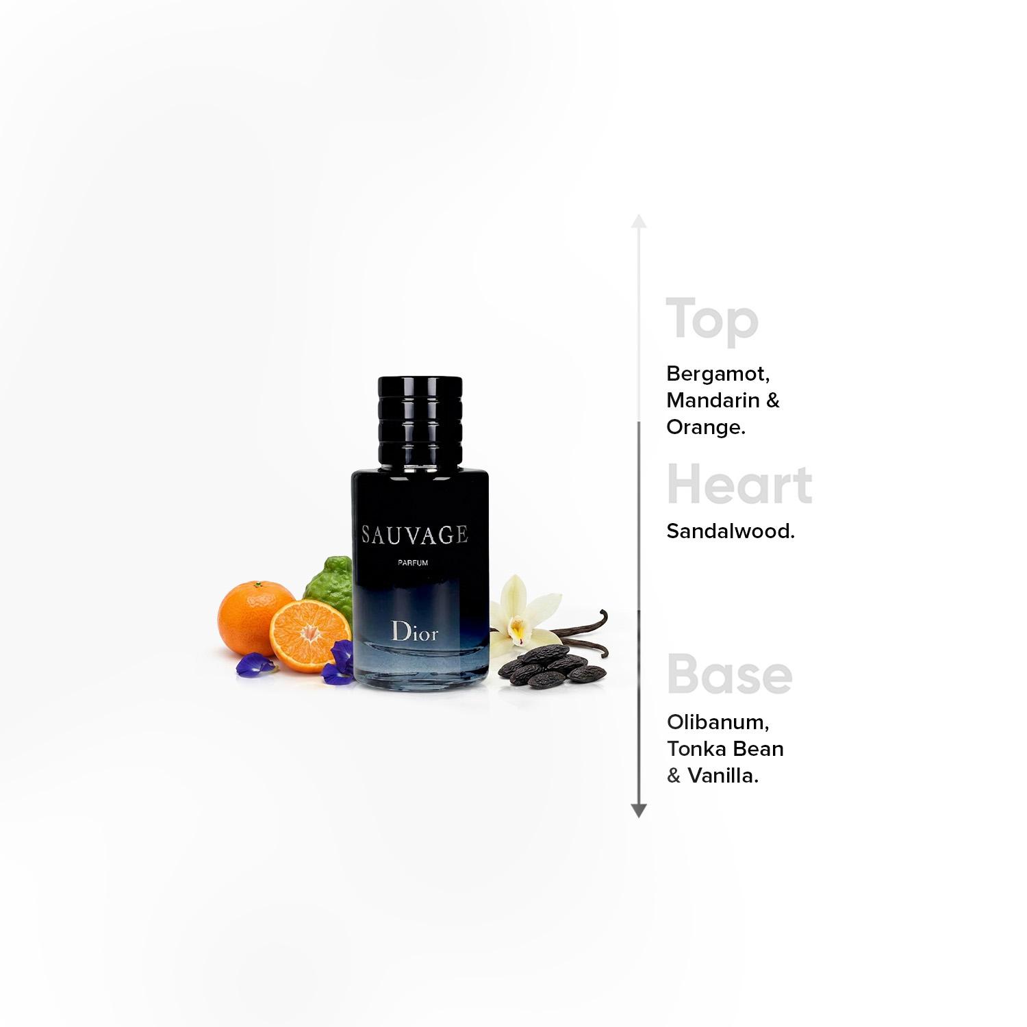 أو دي برفيوم سوفاج للرجال من كريستيان ديور - 100 مل-beautyandpersonalcare-fragrance-men-image-4