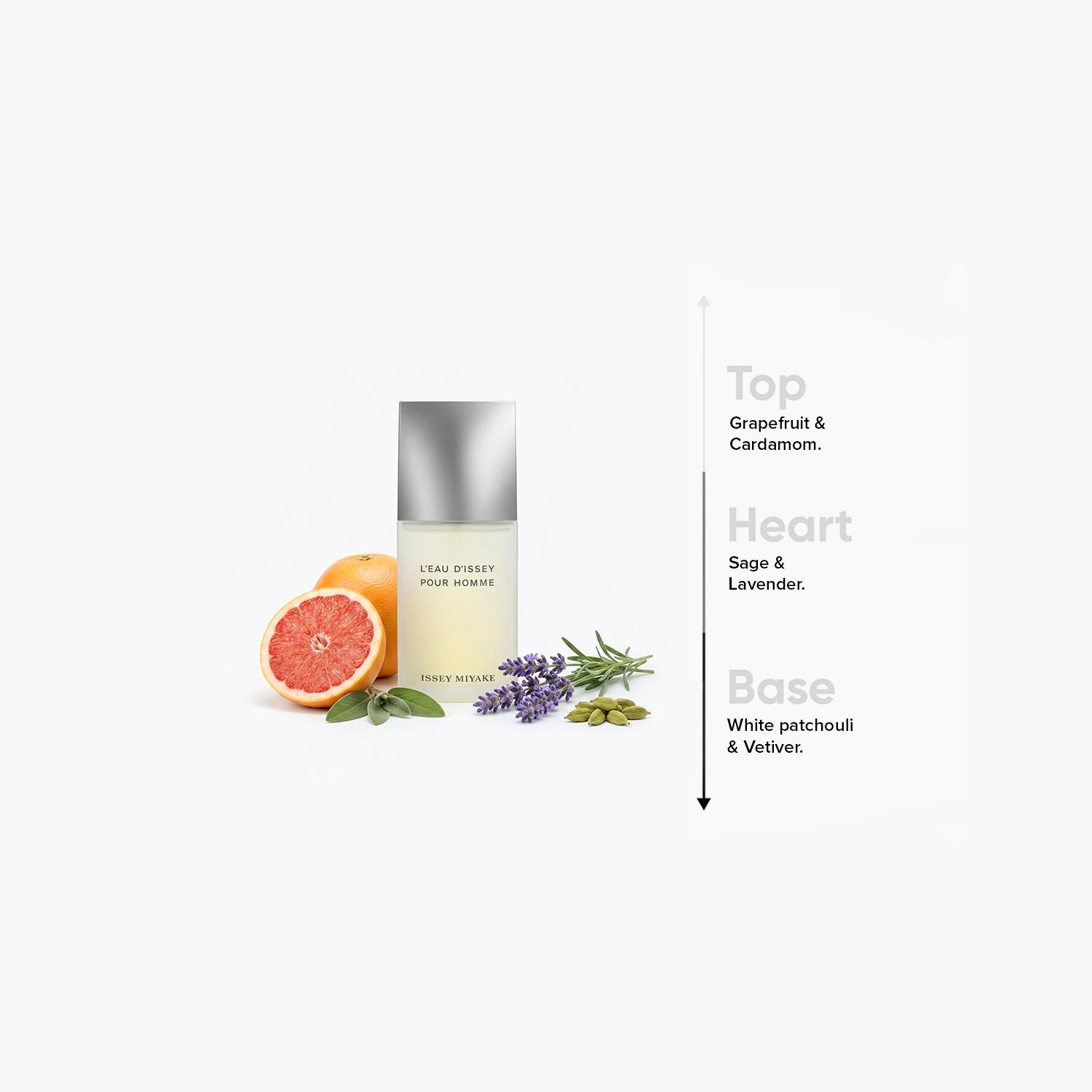 Issey Miyake L'Eau D'Issey Pour Homme Eau de Toilette for Men - 125 ml-beautyandpersonalcare-fragrance-men-image-4
