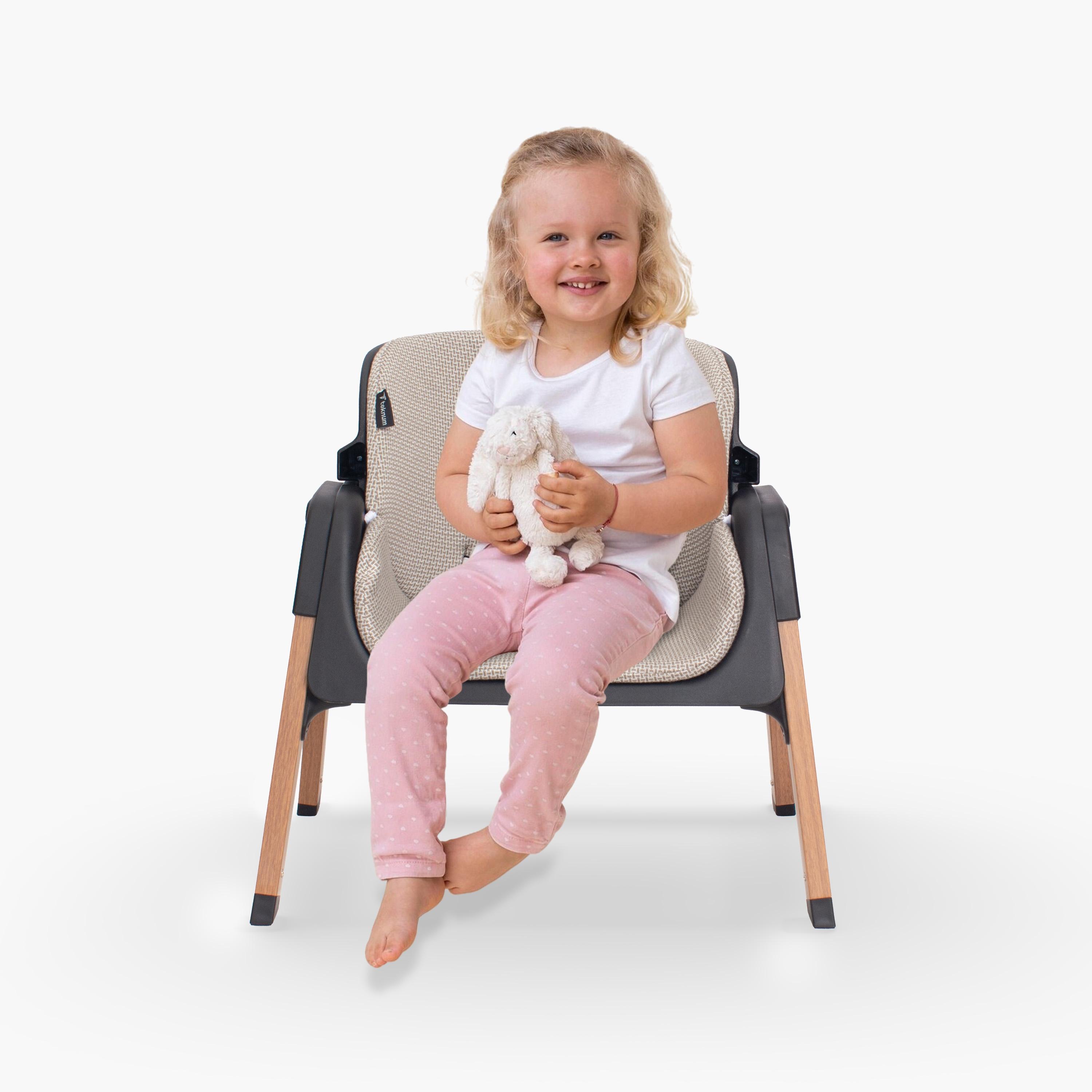 Teknum Luxuro High Chair - Black-baby-feeding-highchairsandboosters-image-5