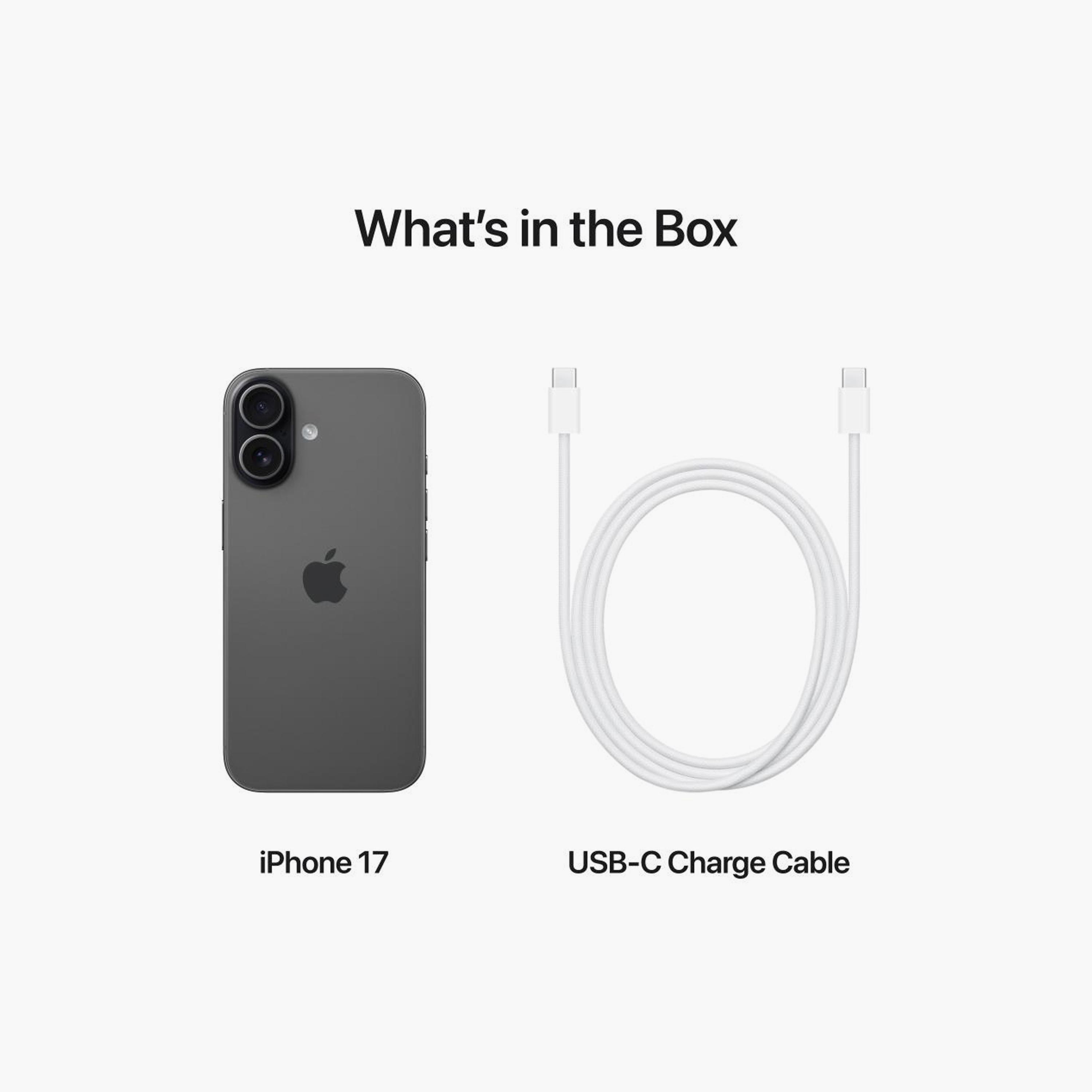 Apple iPhone 17 256GB 5G - UAE Version-electronics-phones-image-49