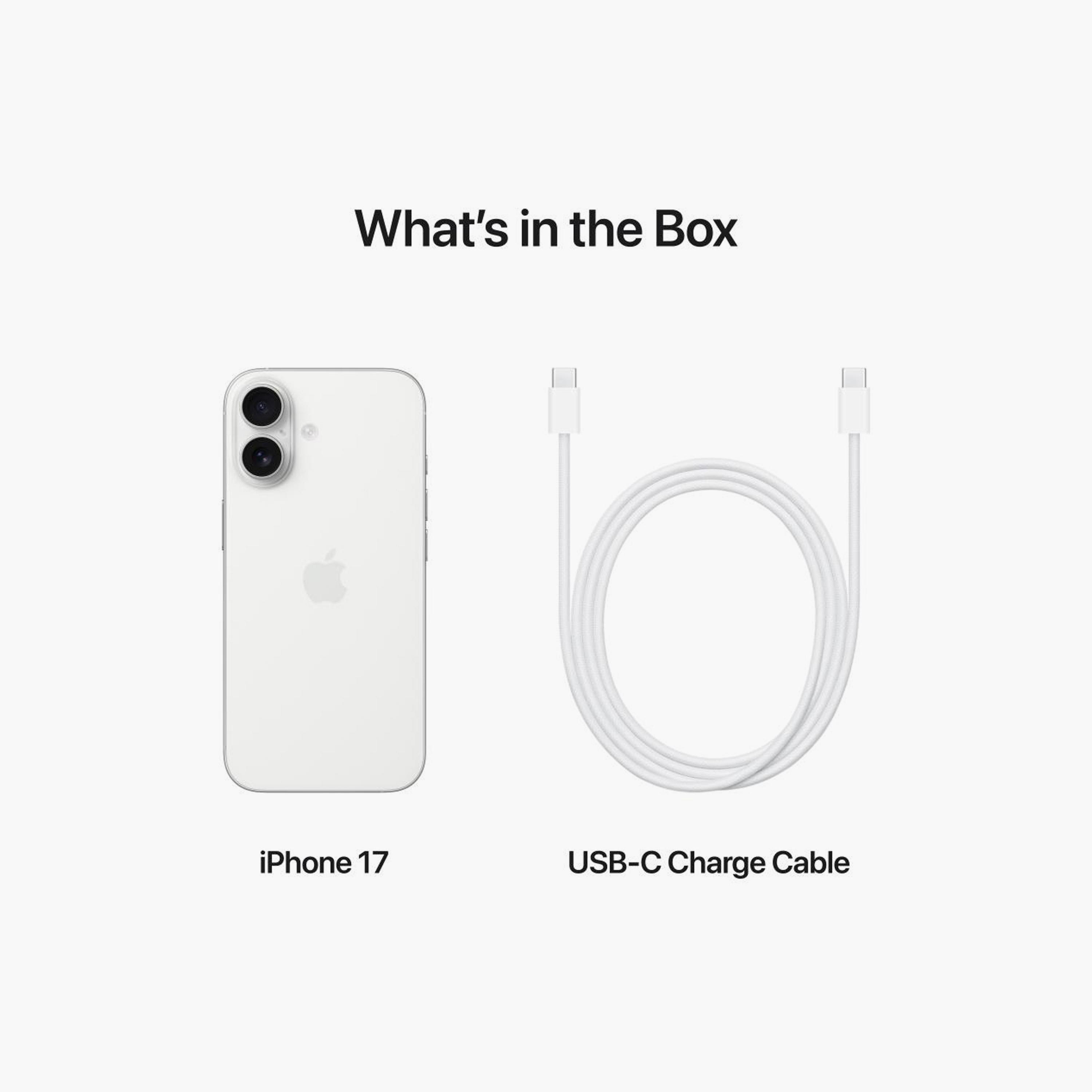 Apple iPhone 17 256GB 5G - UAE Version-electronics-phones-image-9