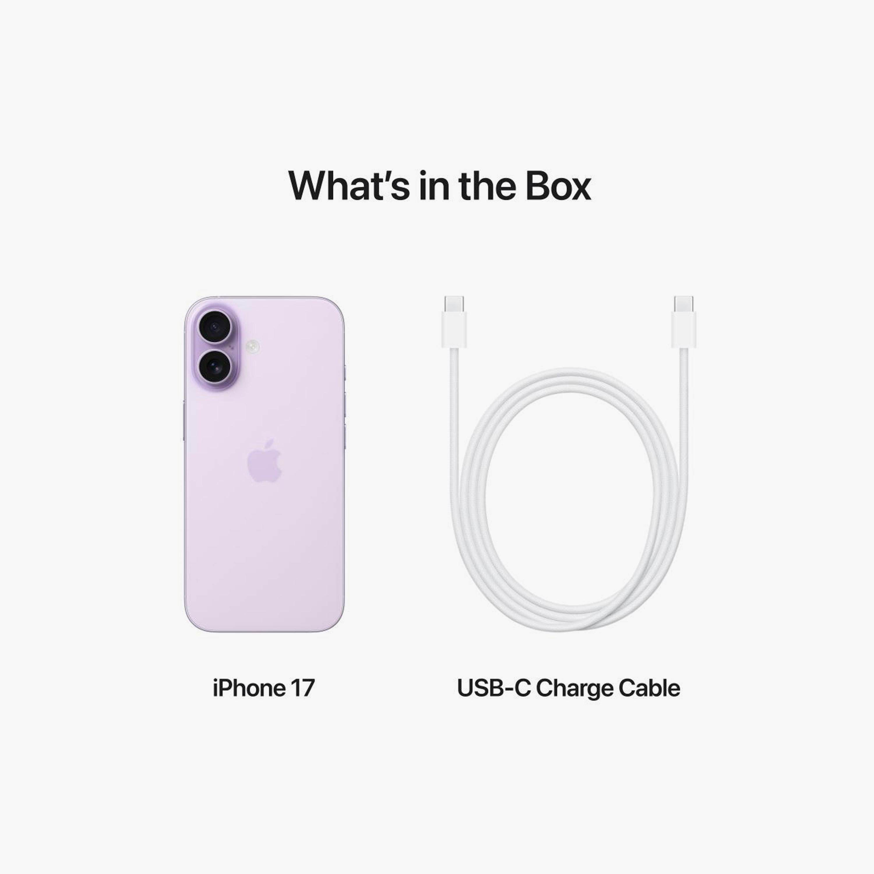 Apple iPhone 17 256GB 5G - UAE Version-electronics-phones-image-29