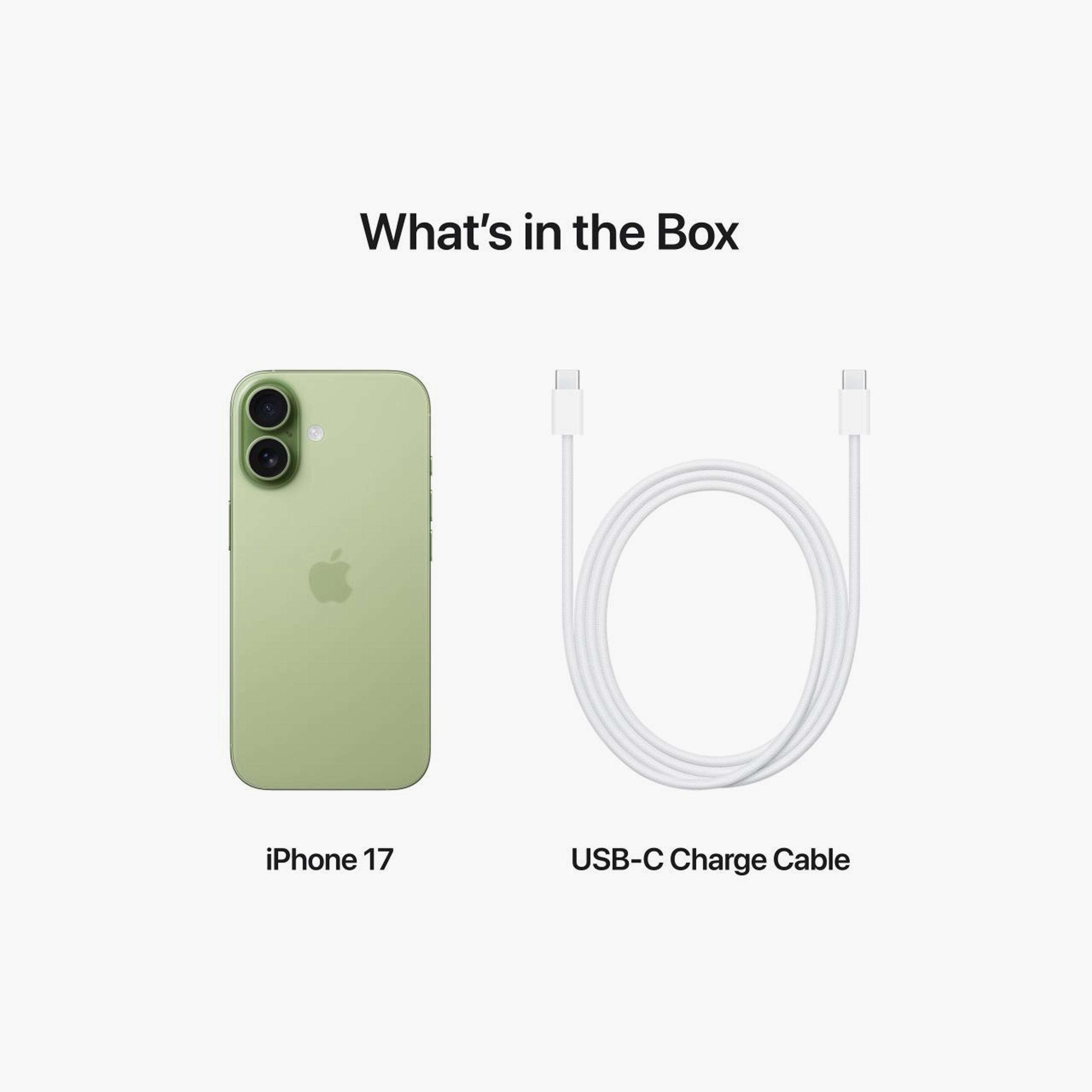 Apple iPhone 17 512GB 5G - UAE Version-electronics-phones-image-49