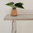 Olivian Console Table-InfluencerCodes_Ramadan26_All_20012026-image-2