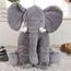 Eazy Kids Plush Pillow - Big-InfluencerCodes_Ramadan26_All_20012026-image-2