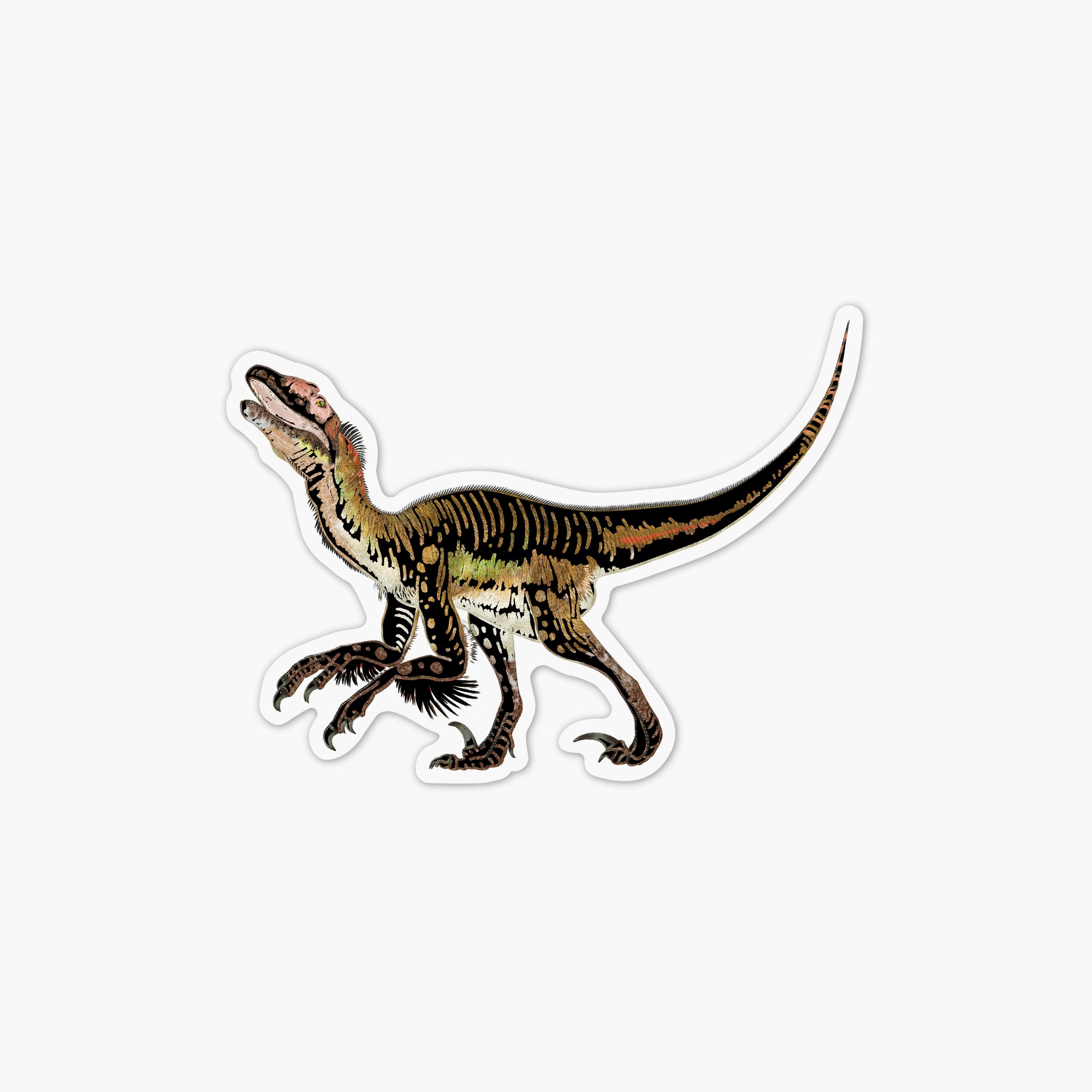 Avenir Scratch Stickers - Dinosaur-school-artsandcrafts-image-9