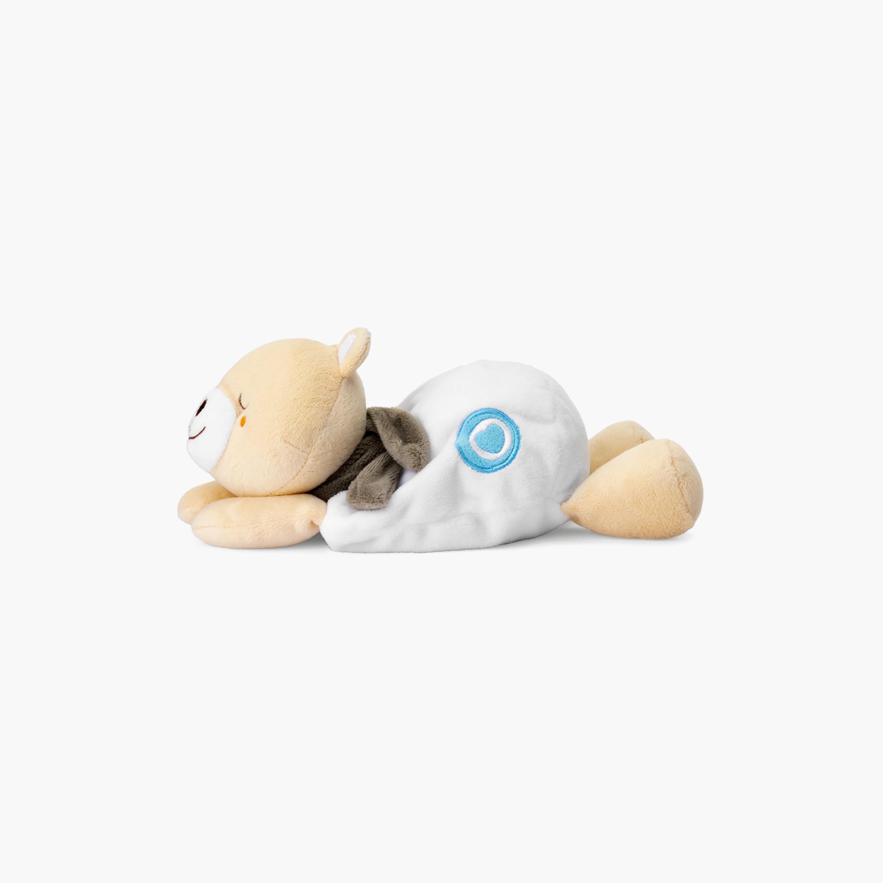 دب وارم كدل من شيكو - 0 شهر فما فوق-toys-plushsofttoys-teddybears-image-5