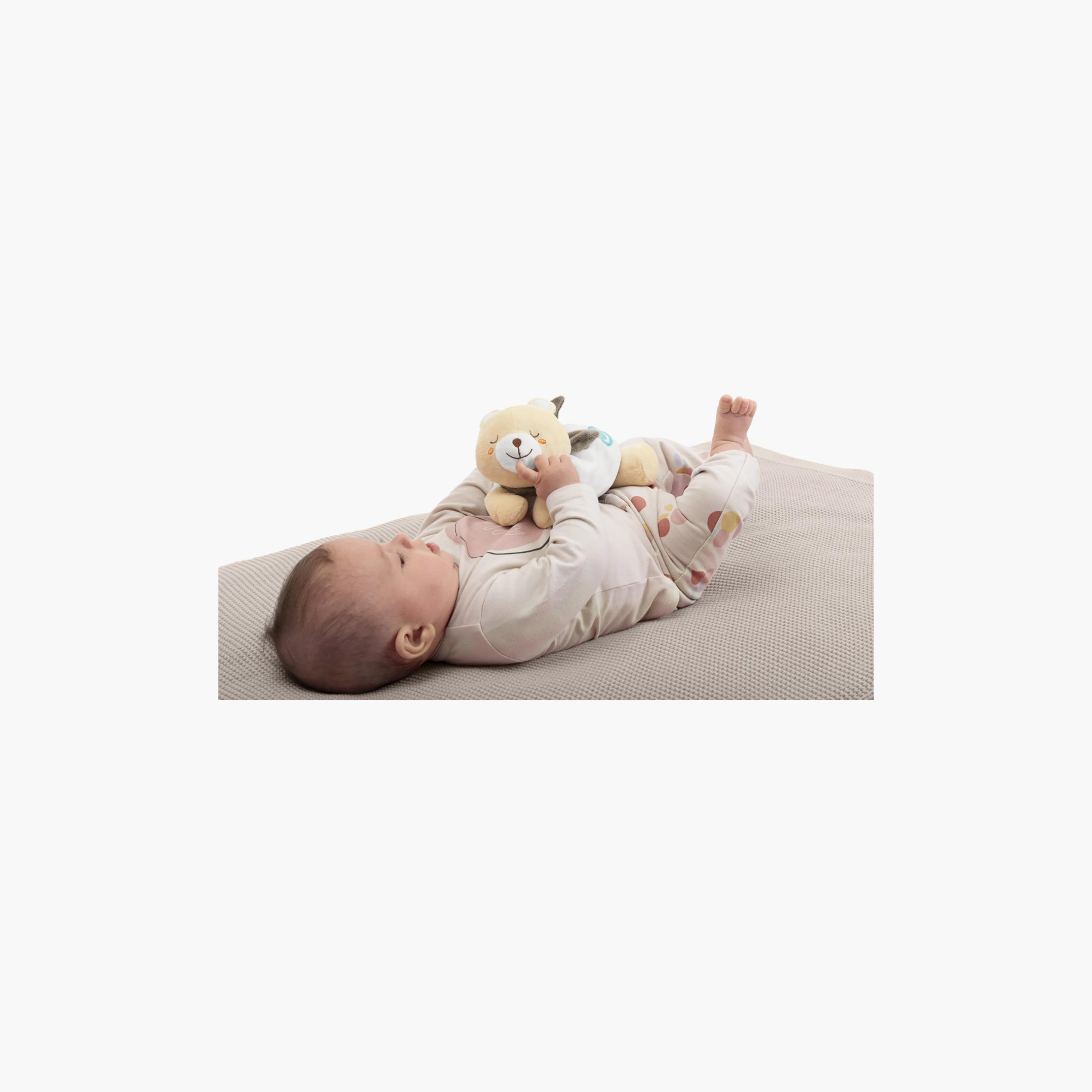 دب وارم كدل من شيكو - 0 شهر فما فوق-toys-plushsofttoys-teddybears-image-6