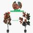 Magnolia Plant in Pot - 120 cm-InfluencerCodes_Ramadan26_All_20012026-image-4