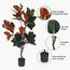 Magnolia Plant in Pot - 120 cm-InfluencerCodes_Ramadan26_All_20012026-image-6