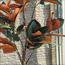 Magnolia Plant in Pot - 120 cm-InfluencerCodes_Ramadan26_All_20012026-image-7