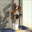 Magnolia Plant in Pot - 120 cm-InfluencerCodes_Ramadan26_All_20012026-image-8