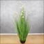 Buttercup Flower Plant in Pot - 150 cm-InfluencerCodes_Ramadan26_All_20012026-image-1