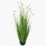 Buttercup Flower Plant in Pot - 150 cm-InfluencerCodes_Ramadan26_All_20012026-image-2