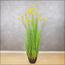 Buttercup Flower Plant in Pot - 150 cm-InfluencerCodes_Ramadan26_All_20012026-image-1