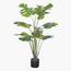 Monstera Plant in Pot - 140 cm-InfluencerCodes_Ramadan26_All_20012026-image-1