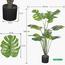 Monstera Plant in Pot - 140 cm-InfluencerCodes_Ramadan26_All_20012026-image-6