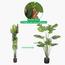 Monstera Plant in Pot - 140 cm-InfluencerCodes_Ramadan26_All_20012026-image-3