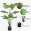 Monstera Plant in Pot - 140 cm-InfluencerCodes_Ramadan26_All_20012026-image-5