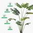 نبات مونستيرا في إناء - 140 سم-InfluencerCodes_Ramadan26_All_20012026-image-3