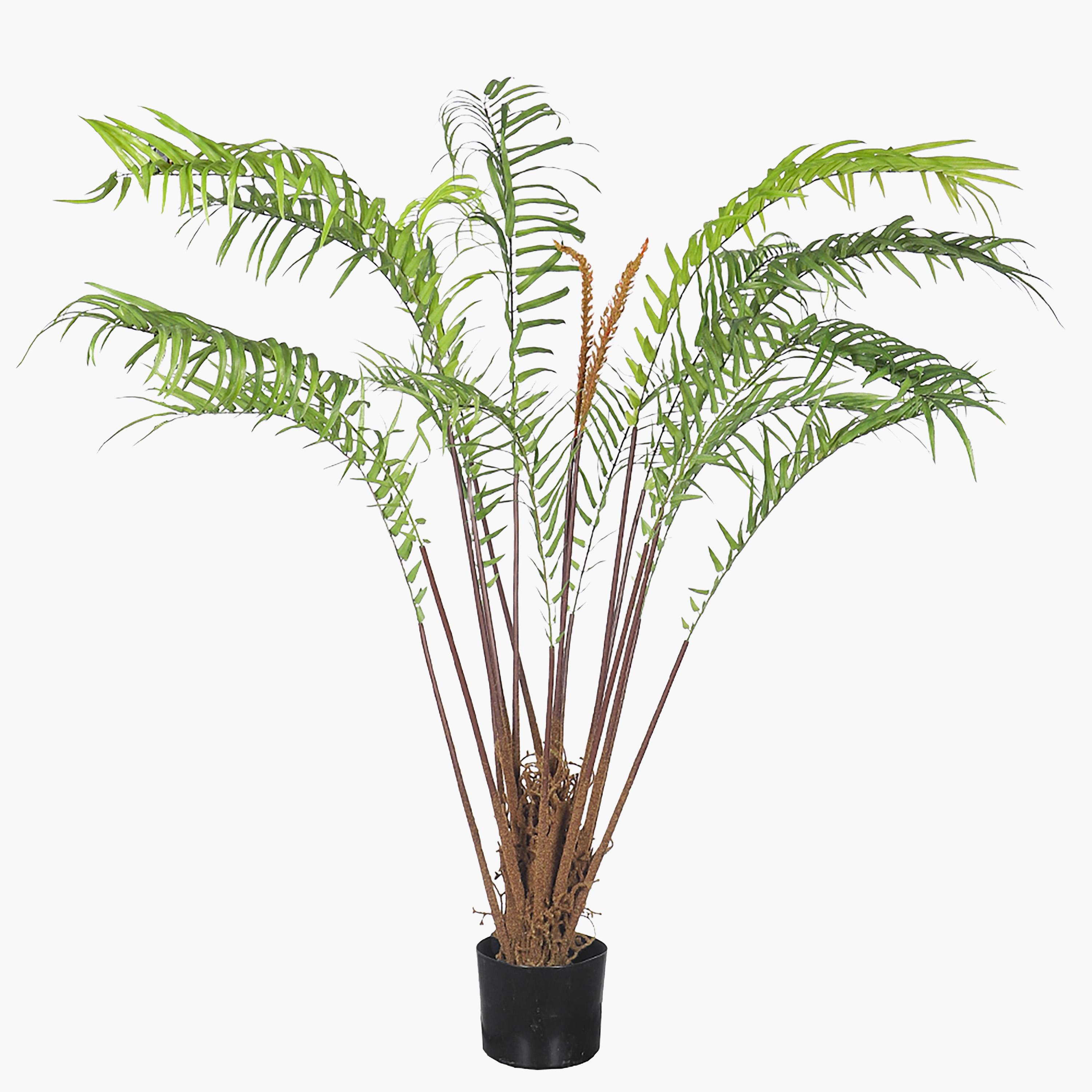 Palm Tree - 120 cm