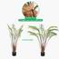 نخلة - 120 سم-InfluencerCodes_Ramadan26_All_20012026-image-4