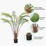 نخلة - 120 سم-InfluencerCodes_Ramadan26_All_20012026-image-2
