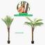 نبتة سرخس نخيل في إناء زرع - 150 سم-InfluencerCodes_Ramadan26_All_20012026-image-3