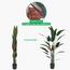 Bird of Paradise Plant in Pot - 170 cm-InfluencerCodes_Ramadan26_All_20012026-image-3