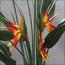 Bird of Paradise Plant in Pot - 170 cm-InfluencerCodes_Ramadan26_All_20012026-image-6