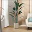 Bird of Paradise Plant in Pot - 170 cm-InfluencerCodes_Ramadan26_All_20012026-image-8