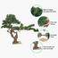 نبات بونساي صنوبر - 130 سم-household-gardenandoutdoor-artificialplants-bonsai-image-2