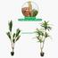 نبات دراسينا - 155 سم-InfluencerCodes_Ramadan26_All_20012026-image-3
