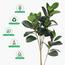 شجرة الفيكس - 140 سم-InfluencerCodes_Ramadan26_All_20012026-image-2